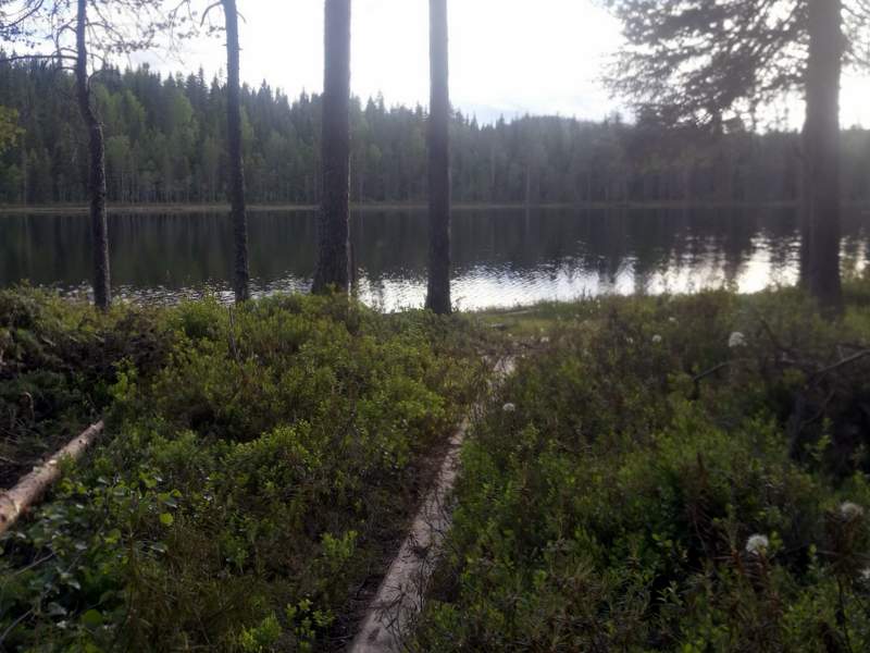 eholampi-maisema.jpg
